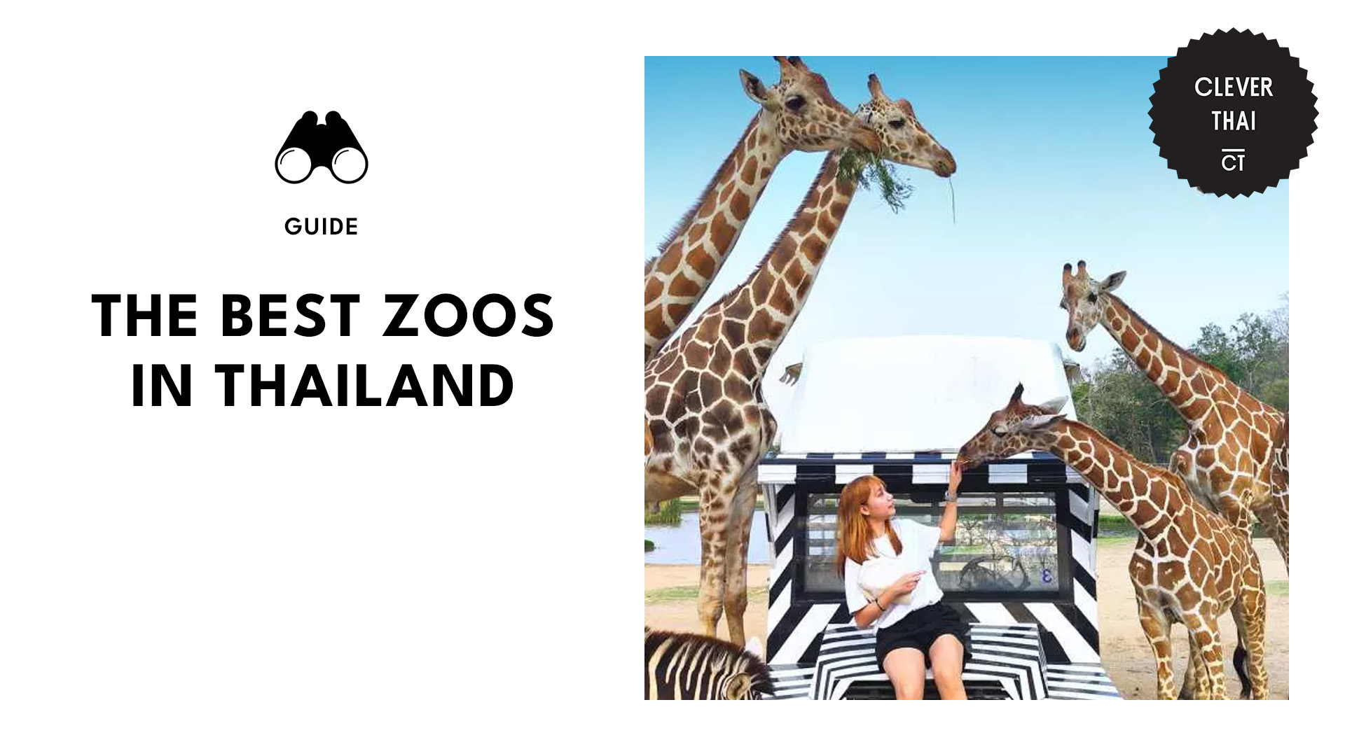 best-zoos-thailand-banner